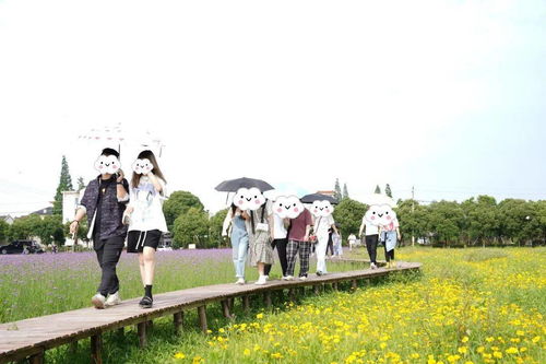 趣也青年 這個(gè)周末有點(diǎn)甜——戶外燒烤、游戲暢玩與花海打卡的動(dòng)漫之旅